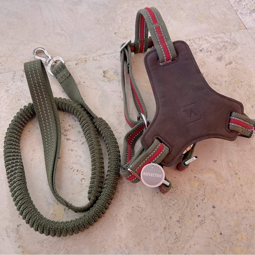 Dog Harness Step-in M 20-50 Lb, Olive, REFLECTIVE + Matching Leash! Vibrant Life